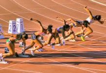 Atletismo recebe apoio superior a 98 mil euros em 2020
