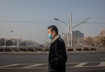 Covid-19: Mundo emite menos um milhão de toneladas de CO2 por dia