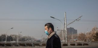Covid-19: Mundo emite menos um milhão de toneladas de CO2 por dia