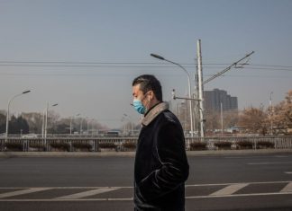 Covid-19: Mundo emite menos um milhão de toneladas de CO2 por dia