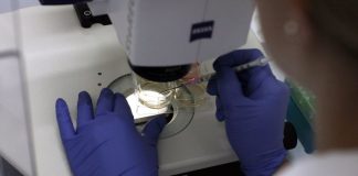 Covid-19: “Estamos todos na mesma batalha”. Cientistas pedem disponibilização “urgente” de dados dos doentes