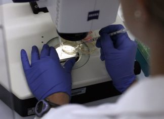Covid-19: “Estamos todos na mesma batalha”. Cientistas pedem disponibilização “urgente” de dados dos doentes