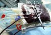 Covid-19: Santo António no Porto apela às dádivas de sangue por quebra nas reservas