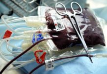 Covid-19: Santo António no Porto apela às dádivas de sangue por quebra nas reservas