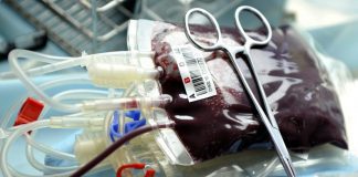 Covid-19: Santo António no Porto apela às dádivas de sangue por quebra nas reservas