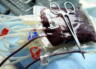 Covid-19: Santo António no Porto apela às dádivas de sangue por quebra nas reservas