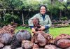 Novas vertentes e renovadas energias nos 5 anos de Sorrisos de Pedra