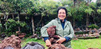 Novas vertentes e renovadas energias nos 5 anos de Sorrisos de Pedra