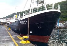 Navio de abastecimento às Flores e Corvo sem casos positivos de COVID-19
