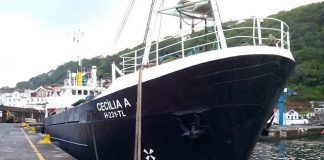 Navio de abastecimento às Flores e Corvo sem casos positivos de COVID-19