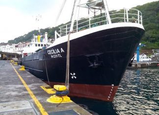 Navio de abastecimento às Flores e Corvo sem casos positivos de COVID-19
