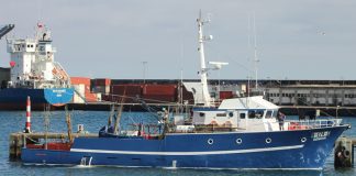 Governo dos Açores determina que embarcações de pesca de S. Miguel apenas podem acostar ou descarregar no seu porto de armamento