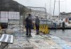 Polícia Marítima fiscaliza pesca profissional e controla situação de embarcações de recreio aportadas na Ilha do Faial