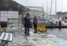 Polícia Marítima fiscaliza pesca profissional e controla situação de embarcações de recreio aportadas na Ilha do Faial