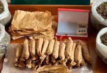 Corvo – Apreensão de cerca 1,5 quilos de estupefacientes