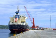 PSD/Açores propõe Plano Global para retoma progressiva da atividade económica