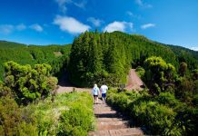 Governo dos Açores pretende classificar a Serra da Tronqueira e o Planalto dos Graminhais como Zona Especial de Conservação DR