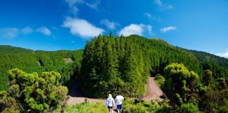 Governo dos Açores pretende classificar a Serra da Tronqueira e o Planalto dos Graminhais como Zona Especial de Conservação DR