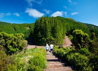 Governo dos Açores pretende classificar a Serra da Tronqueira e o Planalto dos Graminhais como Zona Especial de Conservação DR