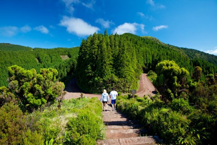 Serra da Tronqueira DR