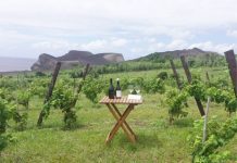 Destaque para vinhos do Pico e do Faial – Enólogos rendidos a produção da Adega do Vulcão DR