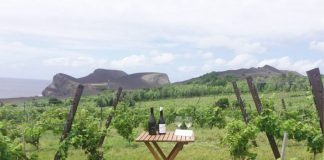 Destaque para vinhos do Pico e do Faial – Enólogos rendidos a produção da Adega do Vulcão DR
