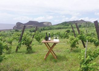 Destaque para vinhos do Pico e do Faial – Enólogos rendidos a produção da Adega do Vulcão DR