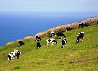 Assembleia da República – Deputados do PS manifestam preocupação com promoção dos produtos dos Açores e abastecimento alimentar DR