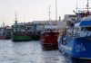 COVID-19 – Federação das Pescas preocupada com os pescadores que vão ficar sem rendimento DR