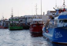 Esgotada quota de captura de abróteas DR