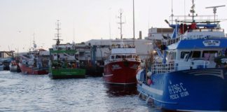 COVID-19 – Federação das Pescas preocupada com os pescadores que vão ficar sem rendimento DR