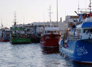 COVID-19 – Federação das Pescas preocupada com os pescadores que vão ficar sem rendimento DR