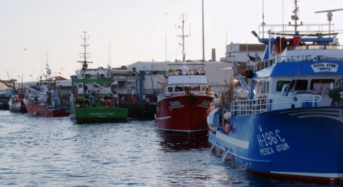 Esgotada quota de captura de abróteas DR