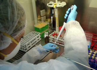 Covid-19: Investigadores criam vacina eficaz contra vírus da família da doença