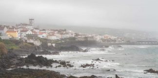 Governo dos Açores já recebeu 1.195 candidaturas para apoios à economia