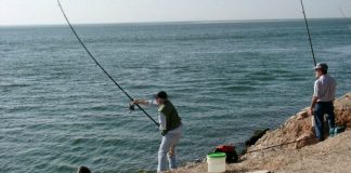 Governo dos Açores autoriza pesca comercial apeada durante os próximos três meses