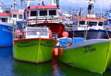 Fundopesca começa hoje a ser pago a 650 profissionais da pesca açorianos
