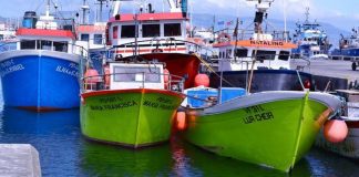 Fundopesca começa hoje a ser pago a 650 profissionais da pesca açorianos