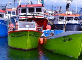 Fundopesca começa hoje a ser pago a 650 profissionais da pesca açorianos