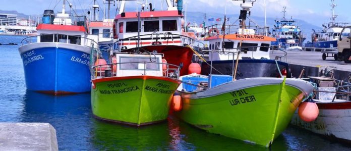 pesca-ponta-delgada