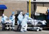 Pandemia já fez quase 83 mil mortos em todo o mundo