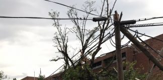 Pelo menos seis mortos devido a tornados no sul dos Estados Unidos. Declarado estado de emergência