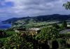 Covid-19. Açores com 66 casos, mais três novos infetados em São Miguel