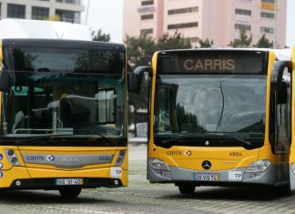 Regulador adia entrega de relatórios sobre serviço público de transportes