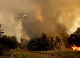 Governo admite “novos ajustes” na gestão florestal devido à covid-19