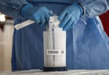 Covid-19: Cientistas portugueses que criaram testes são “heróis precários”