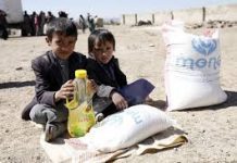 Cerca de 135 milhões de pessoas sofrem de insegurança alimentar aguda
