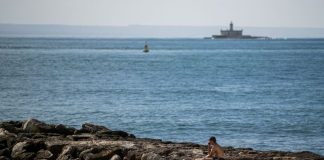 “As pessoas têm de dar o seu mergulho, senão não morrem da doença, mas morrem da cura”. Concessionários de praia defendem que os estabelecimentos “têm de começar a abrir”
