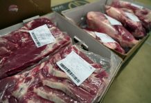 Pequenas e médias empresas do setor das carnes com quebras de até 80%