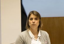 CDS requer inclusão da ilha de São Jorge na proposta para a reconversão de explorações de produção de leite em carne